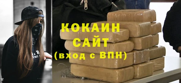 ПСИЛОЦИБИНОВЫЕ ГРИБЫ Верея