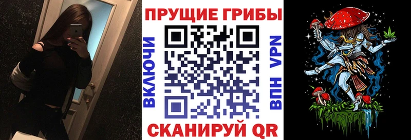 кракен рабочий сайт  Карасук  маркетплейс клад  где продают наркотики  Галлюциногенные грибы прущие грибы 